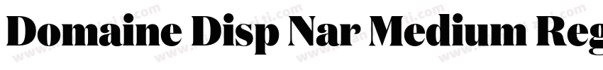 Domaine Disp Nar Medium Regular字体转换